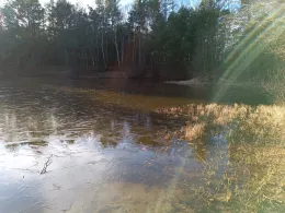 Wachholderteich (Faßberg)-1