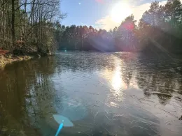 Wachholderteich (Faßberg)-2