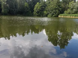 Kaynaer Teiche-4
