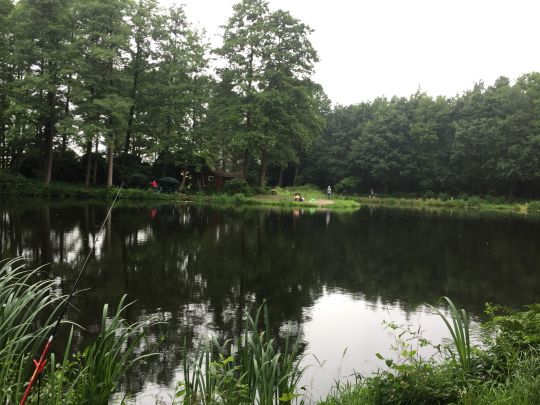 Hoogan-Allern-See (Forellenteich Borg)-2