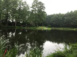 Hoogan-Allern-See (Forellenteich Borg)-2