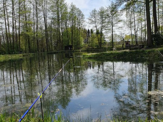 Hoogan-Allern-See (Forellenteich Borg)-3