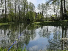 Hoogan-Allern-See (Forellenteich Borg)-3