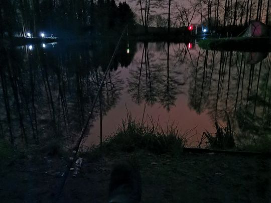 Hoogan-Allern-See (Forellenteich Borg)-1