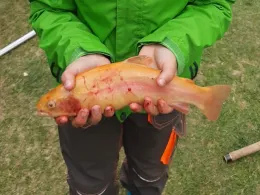 Fischparadies Siebenbrunn (Markneukirchen)-3