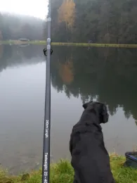 Fischparadies Siebenbrunn (Markneukirchen)-2