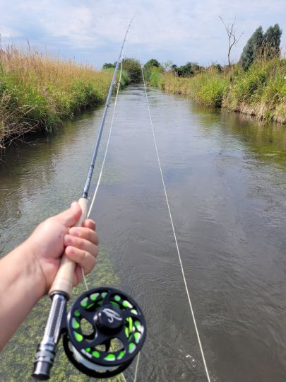 Goldach / Nasenbach (Freising)-2