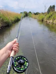 Goldach / Nasenbach (Freising)-2