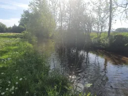 Goldach / Nasenbach (Freising)