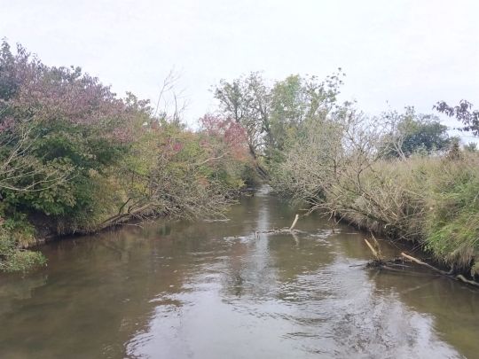 Goldach / Nasenbach (Freising)-3