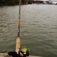 Eisenbahnhafen Duisburg-2