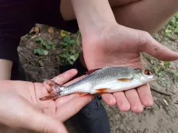 Angelpark Klostermühle