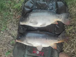 Stadtgraben Gardelegen