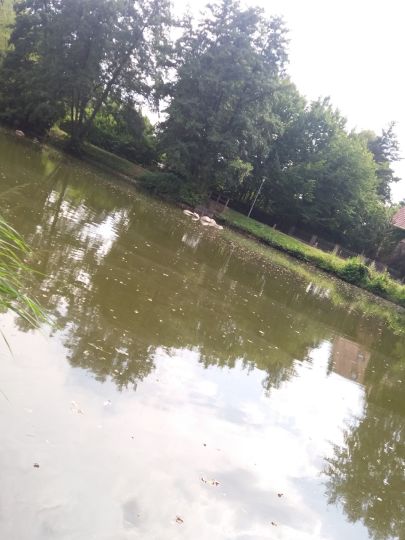 Stadtgraben Gardelegen-3