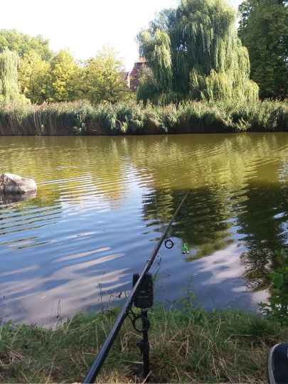 Stadtgraben Gardelegen-1