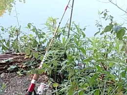 Kalenberger Graben (Hildesheim)-3