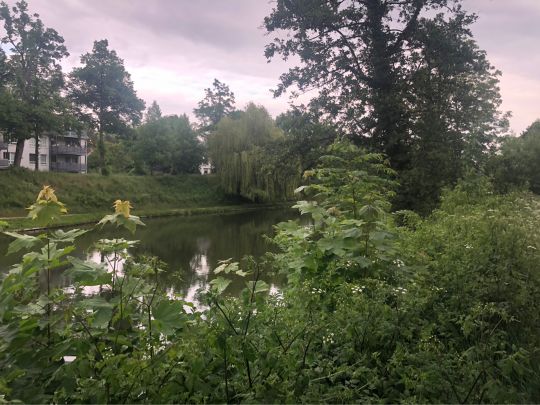 Kalenberger Graben (Hildesheim)-1