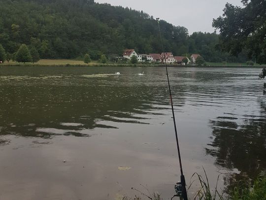 Main (Himmelstadt)