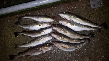 Ostsee (Travemünde)-3