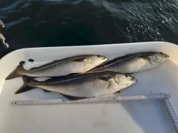 Ostsee (Travemünde)-1