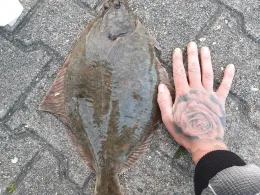 Ostsee (Travemünde)