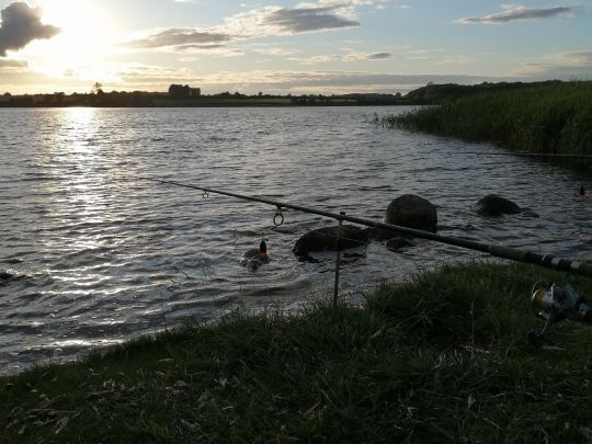 Schlei (Kleine Breite)-3