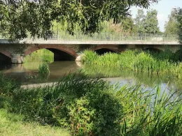 Helme (Sangerhausen)-1