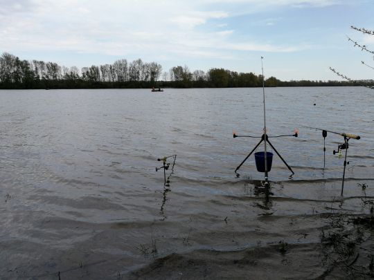 Reeser Meer