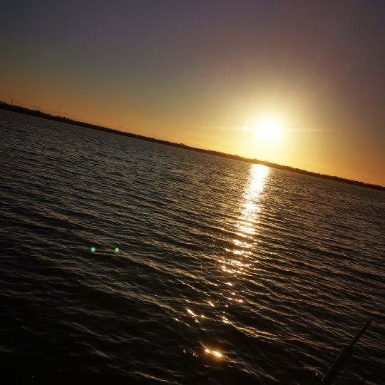 Balksee-1