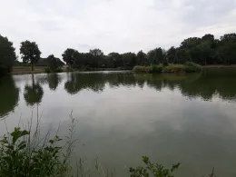 Beckers See (Ochtrup)-2