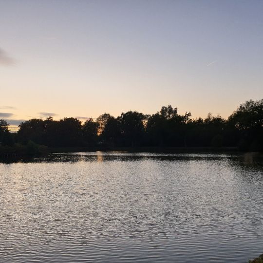 Beckers See (Ochtrup)-0