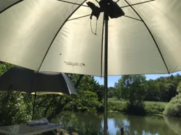 Saar (Saarbrücken-Bübingen)-2