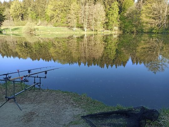 Zeller Weiher (Bad Saulgau) angeln