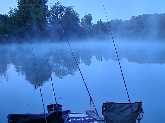 Zeller Weiher (Bad Saulgau)-4