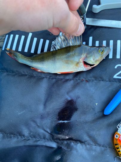 Alster (Hamburg-Poppenbüttel)-1