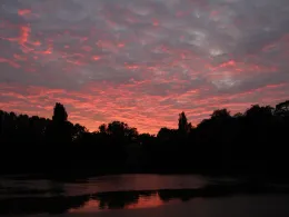 Ostparkweiher (Düsseldorf)