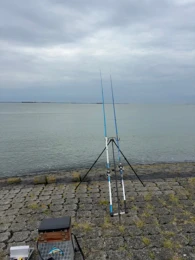 Westerschelde-2