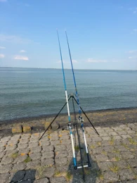 Westerschelde-1