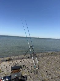 Westerschelde-0