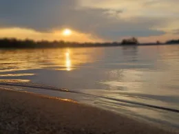 Rhein (Linz am Rhein)-4