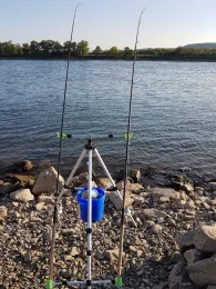 Rhein (Linz am Rhein)-2