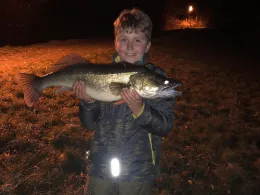 Elbe (Mühlberg/Elbe)