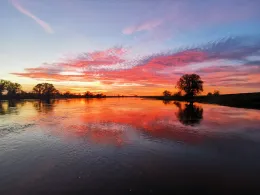 Elbe (Mühlberg/Elbe)-4