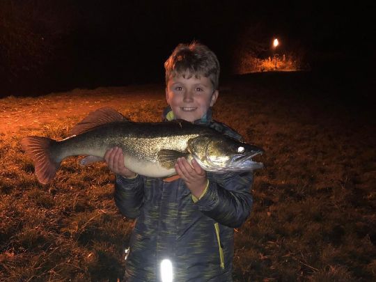 Elbe (Mühlberg/Elbe)-2