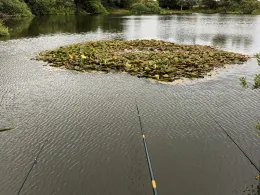 Kiesgrube Wolterslage-2