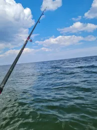 Flensburger Förde (Norgaardholz)