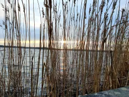 Flensburger Förde (Norgaardholz)-1