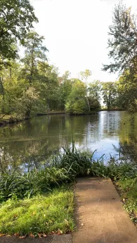 Schwanenteich (Borsdorf)