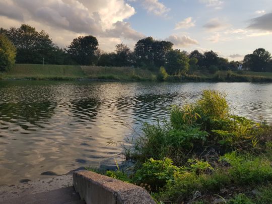 Wesel-Datteln-Kanal (Haltern am See)