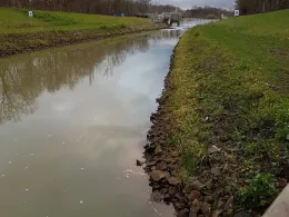 Pleiße (Markkleeberg)-1